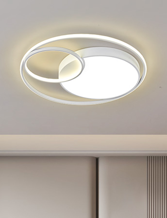 LED 오린트 거실등 100W(삼성LED/주광색+주백색)